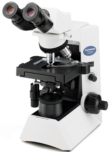 生物显微镜检测